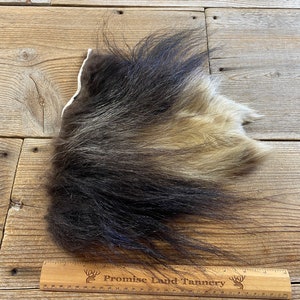 Muskox Legskin - Soft Tanned - Lot No. 230119-H