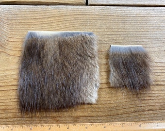 Muskrat Hair on Hide Piece - Choice of Size - Stock No. FUR-54