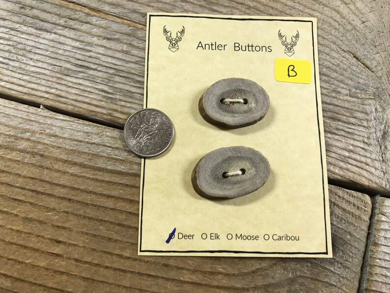 Deer Antler Buttons Large to Extra Large Choice of Card Etsy