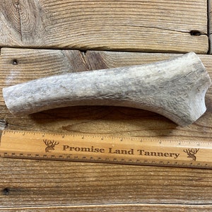 Elk Antler Piece for Knife Handle - Craft Grade - Large - Lot No. 230525-JJ