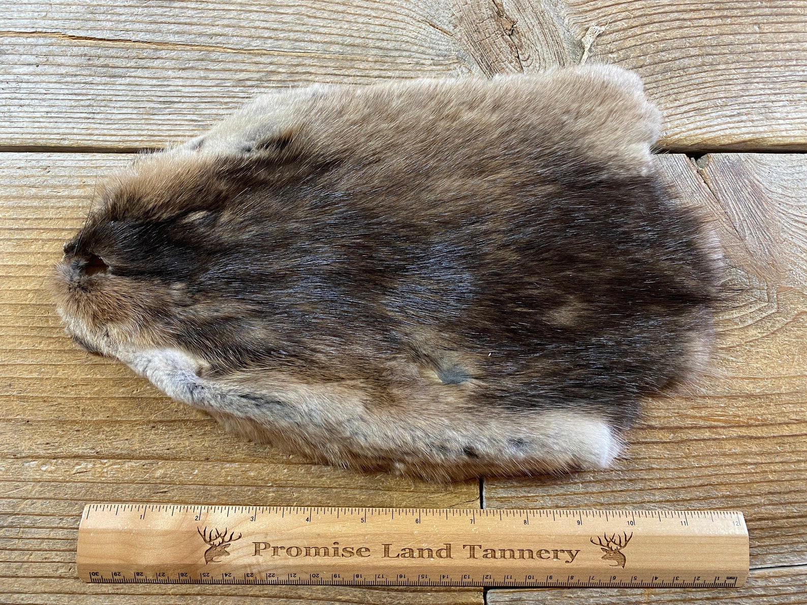 Muskrat Fur Pelt One Average Full Skin Lot No. 210422YYY Etsy