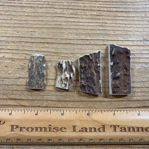Deer Antler Pendants- Drilled Your Way- Real Deer Antler Lot No. 230827-TTT