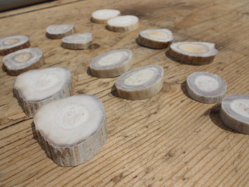 Your Choice of Size and Style 10 Pairs of Deer Antler Slices