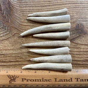 Deer Antler Points - Drilled Your Way - Lot No. 230126-Y