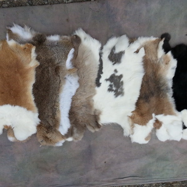 One Average Rabbit Hide - A Quality Assorted Colors - Stock No. ARBT