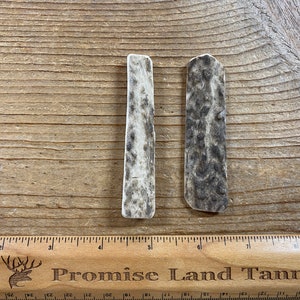 Elk Antler Pendants- Drilled Your Way- Real Elk Antler Lot No. 230827-NN