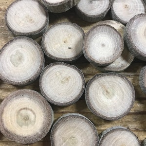 Bulk Wood Slices, B Grade Wood Slices, Imperfect Natural Pine Wood