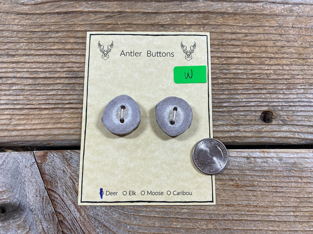 Deer Antler Buttons - 2 Large Buttons - Lot No. BC220125-W - Etsy