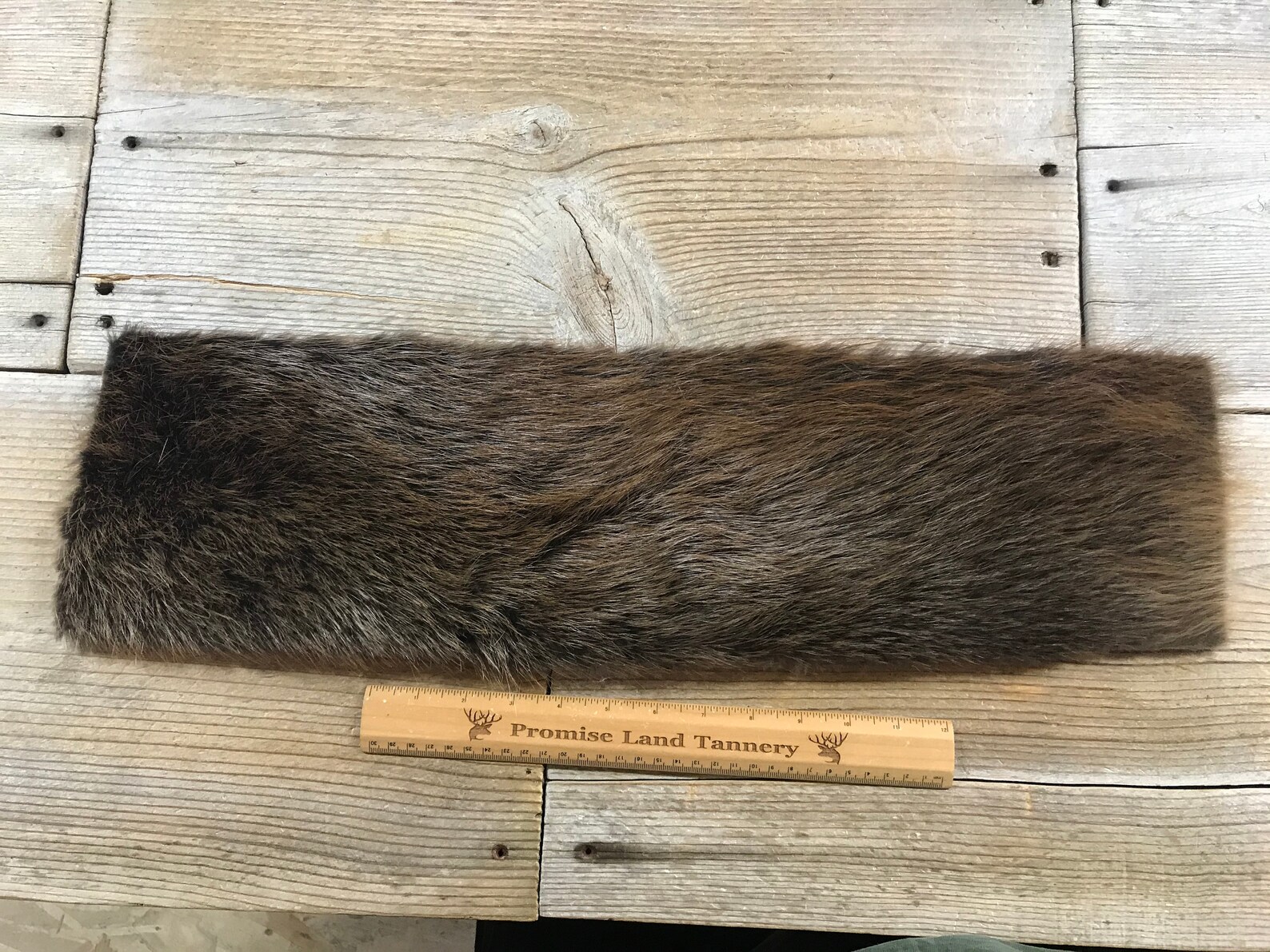 Beaver Hide Select Fur Piece 6 X 24 Inch Piece Lot No. Etsy