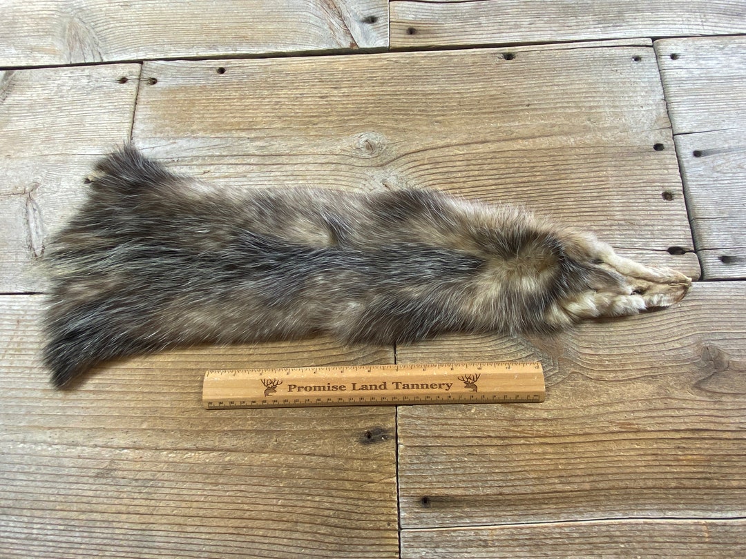 Virginia Opossum Pelt Wallhanger Quality Fur Soft Tanned Etsy