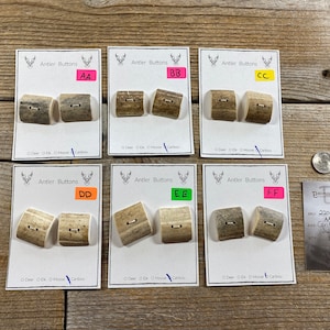 Caribou Antler Buttons - Jumbo Buttons - Choice of Card - Lot No. BC220127-AA to FF