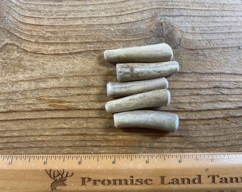 5 Deer Antler Pieces- Toggle Button Blanks - Drilled your way - Lot No. 210901-R