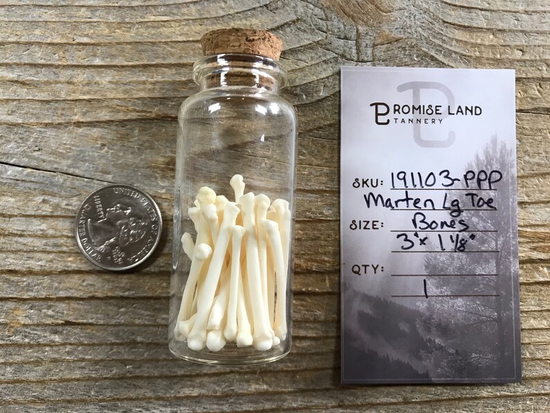 Corked Vial Filled with Marten Large Toe Bones 191103-PPP Lot No