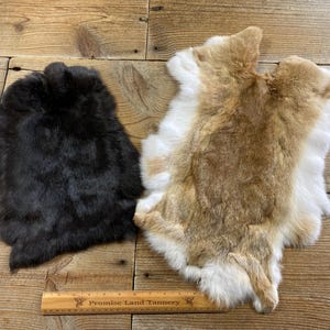 Bulk Lot of 2 Assorted Craft Quality Rabbit Hides - As Shown - Lot No. 241027-OO