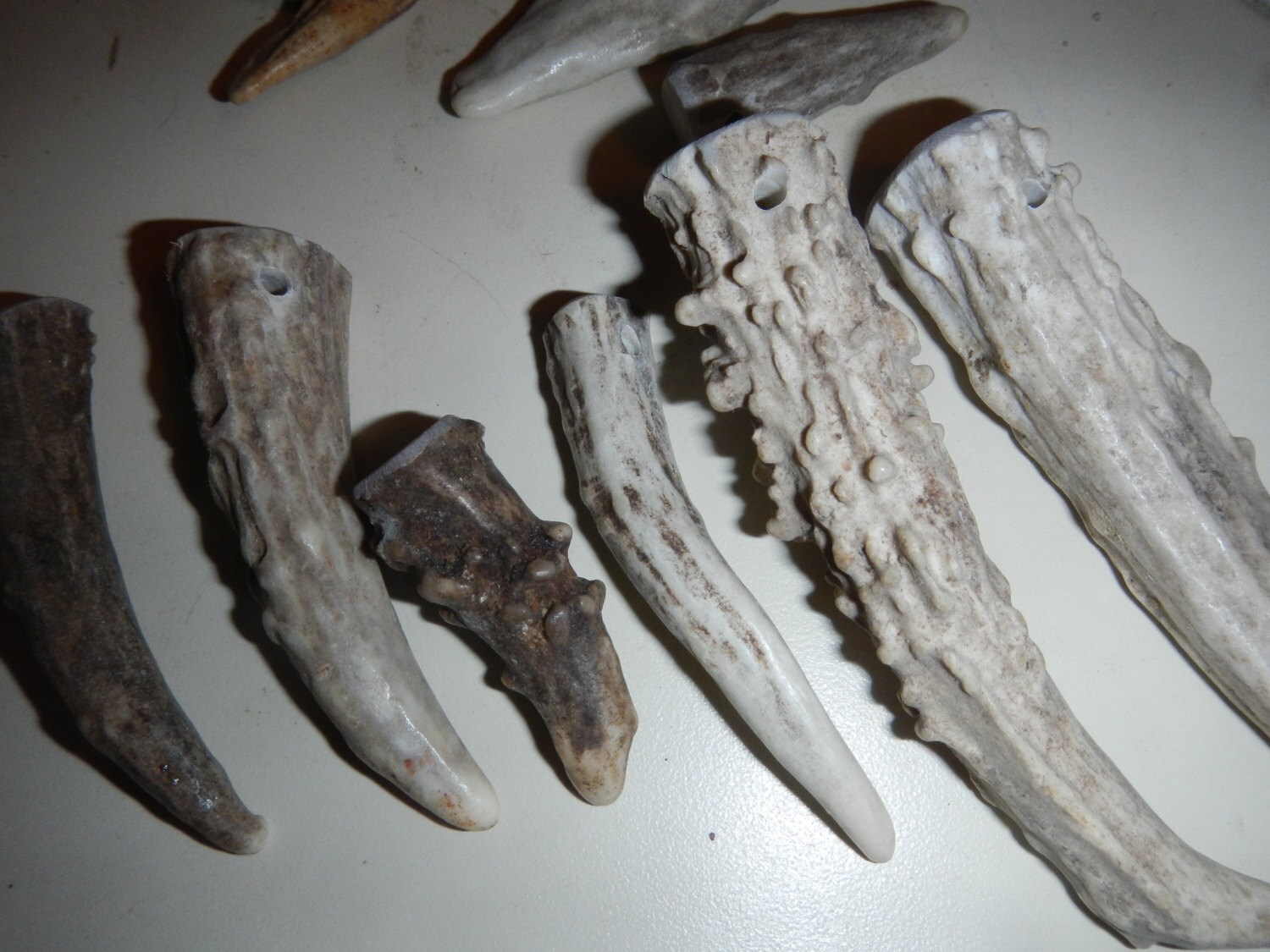 Gnarly Drilled Antler Tips or Points for Pendants Etc - 5 Assorted Pieces - PICK Your SIZE
