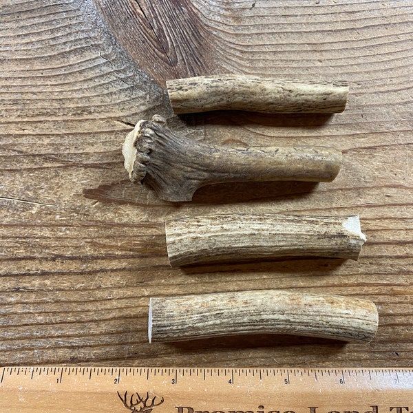 Antler Pen Blanks Etsy