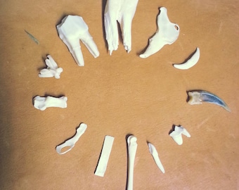 Animal Bones Divination Object - Select Your Species