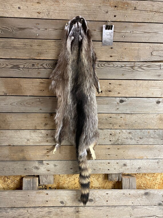 Raccoon fur deals