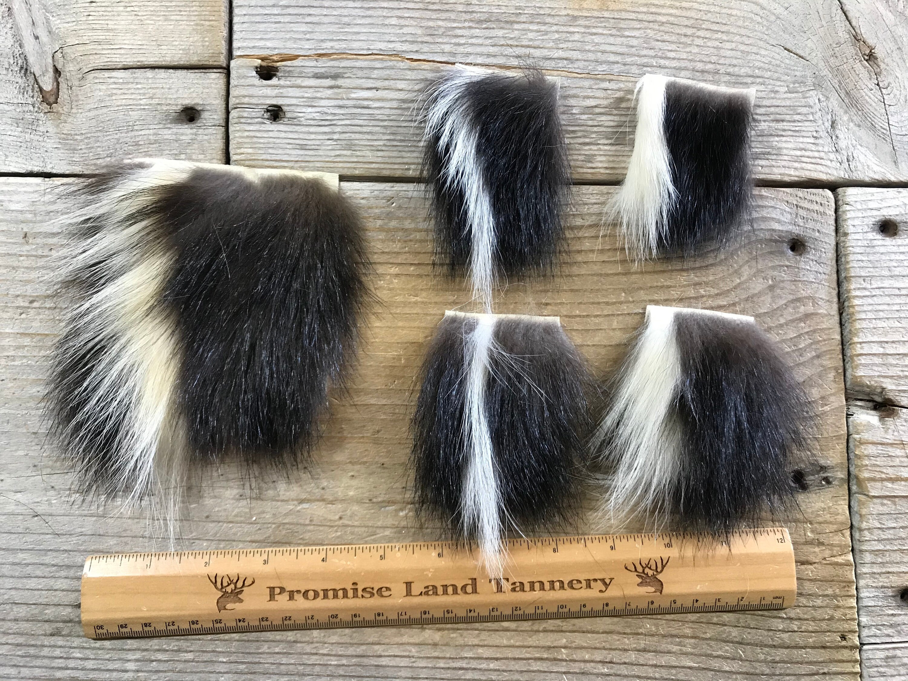 Striped Skunk Hair On Hide Piece Choice Of Size Stock No Etsy