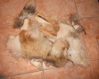 Salvaged  Fur Scraps - CHOICE of Species - Red Fox Coyote Raccoon Etc