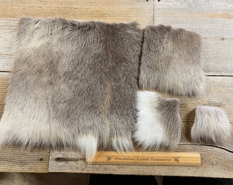 Reindeer Hair on Hide Piece - Choice of Size - Stock No. FUR-69