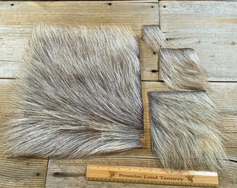 Domestic Pig Hair on Hide Piece - Choice of Size - Stock No. FUR-24