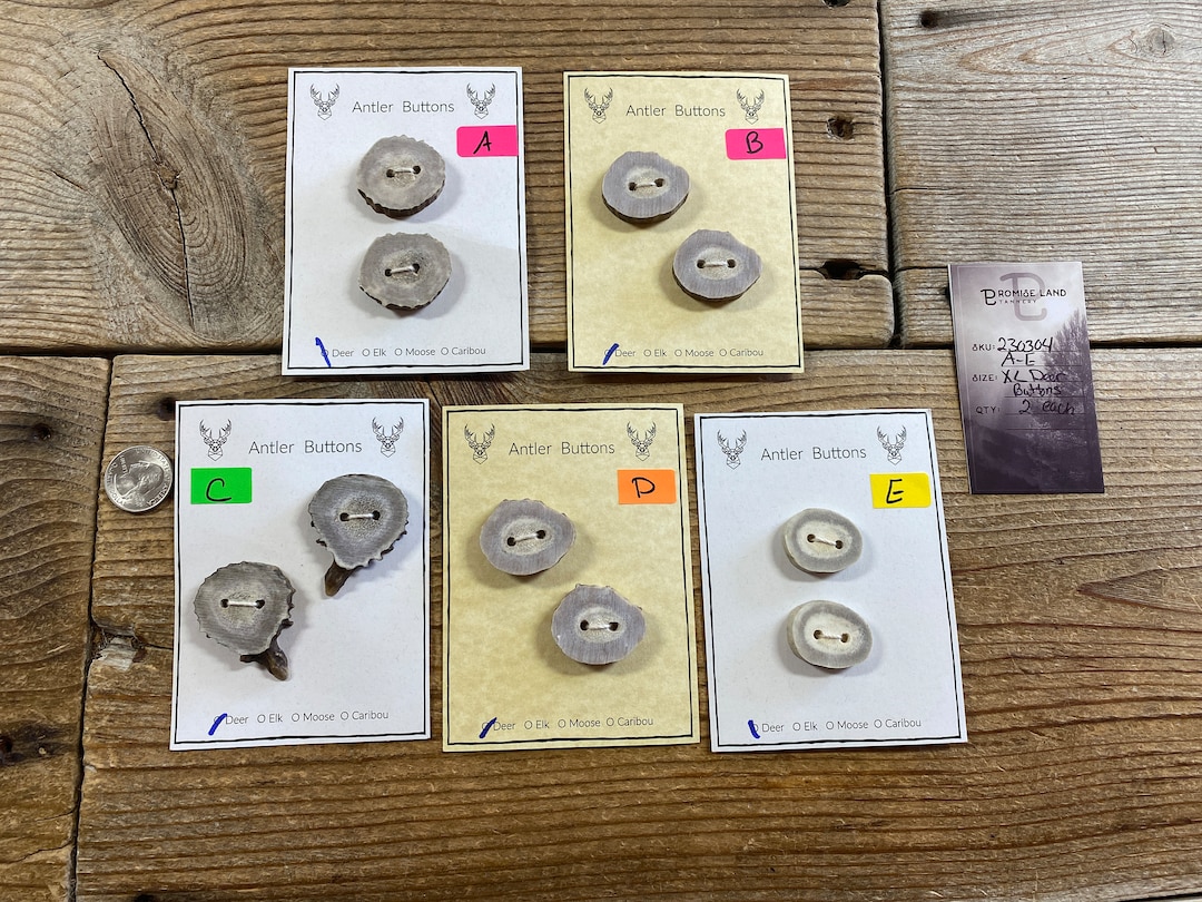 Deer Antler Buttons - Extra Large Buttons - Choice of Card - Lot No ...