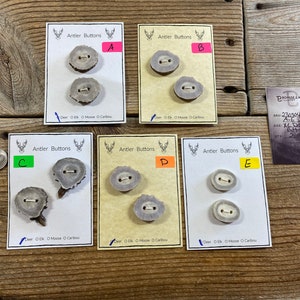 Deer Antler Buttons - Extra Large Buttons - Choice of Card - Lot No. BC230304 A-E
