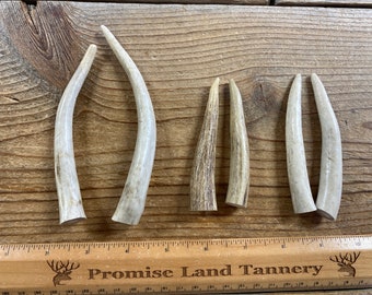 Three Pairs of Deer Antler Points - Natural Deer Antlers - Lot No. 220329-D