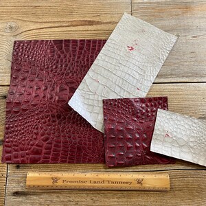 May include: Four pieces of leather, two are burgundy with a crocodile pattern and two are white with a crocodile pattern. A wooden ruler with the text "Promise Land Tannery" is in the bottom center of the image.