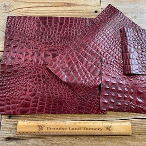 May include: Four pieces of burgundy alligator embossed leather. The leather is arranged in a staggered pattern. A ruler with the text "Promise Land Tannery" is in the bottom of the image.