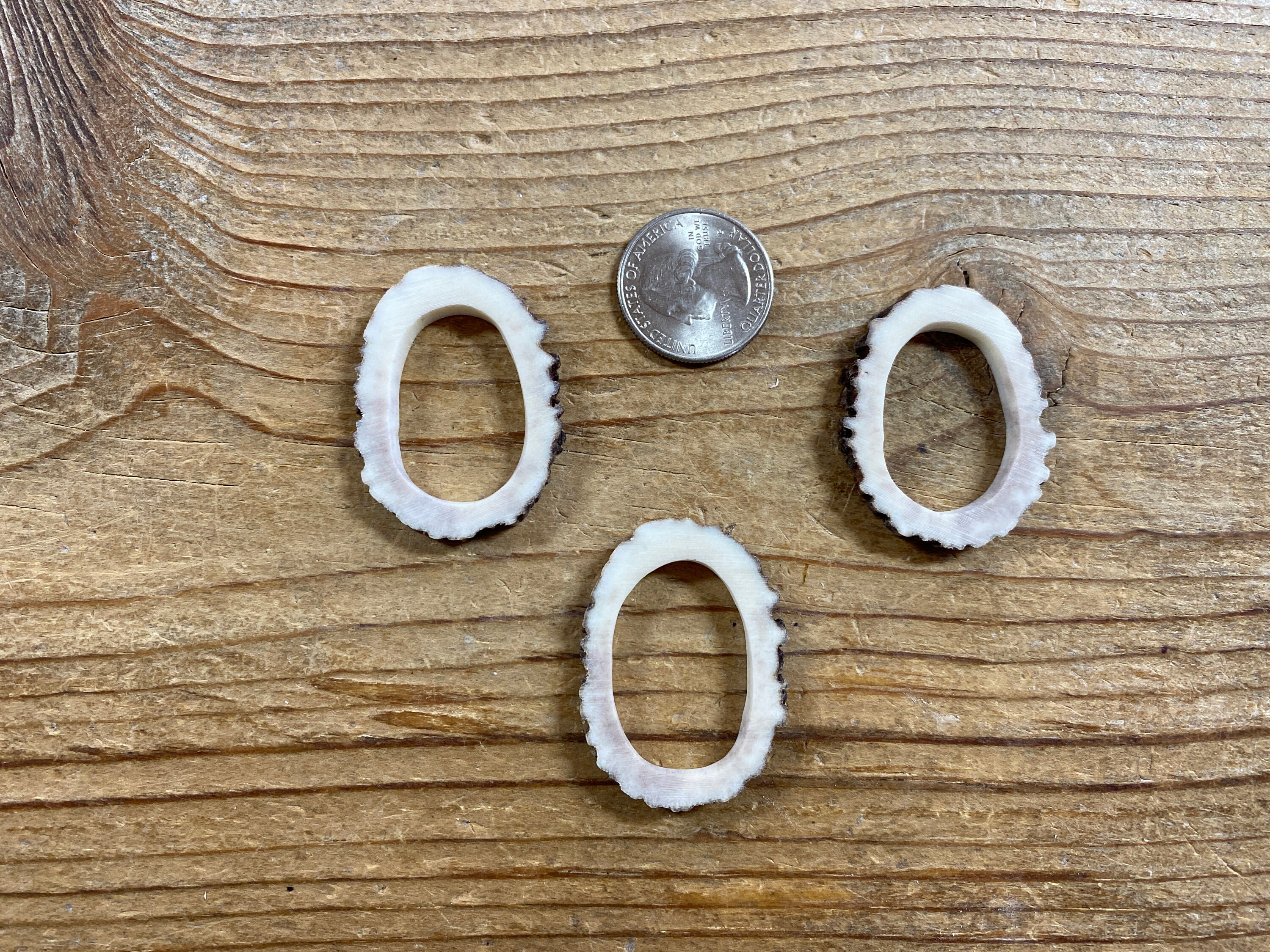 Trio of Elk Antler Loops Earring Pendants Lot No. - Etsy