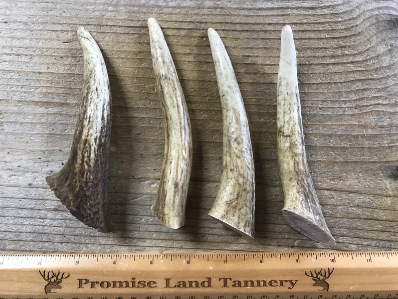 Lot of 4 Elk Antler Pieces for Knife Handles Small Lot No. | Etsy