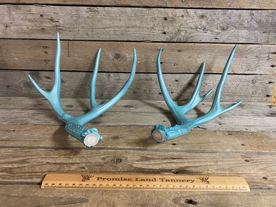 Sheds Craft Horn Assorted Elk & Deer Antlers 1/2 Lb Bag Crafting MADE TO ORDER 