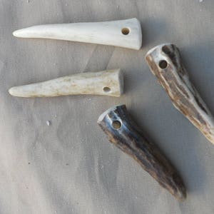 Small Drilled Antler Tips or Points for Pendants Etc- 5 Assorted Pieces- PICK Your SIZE