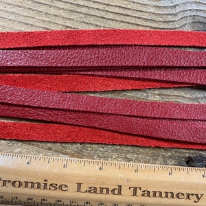 Buckskin Lace - Scarlet Moto Chap Cow Leather - 1/2 Inch Wide - Straight Cut - Lot No. 210929-L