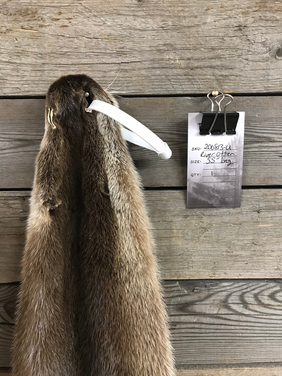 River Otter Fur Pelt Soft Garment Tanned Hide as Shown | Etsy