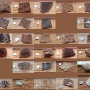 May include: A collection of 28 different animal fur swatches, each labeled with the animal's name and number. The swatches are arranged in a grid pattern on a wooden surface.