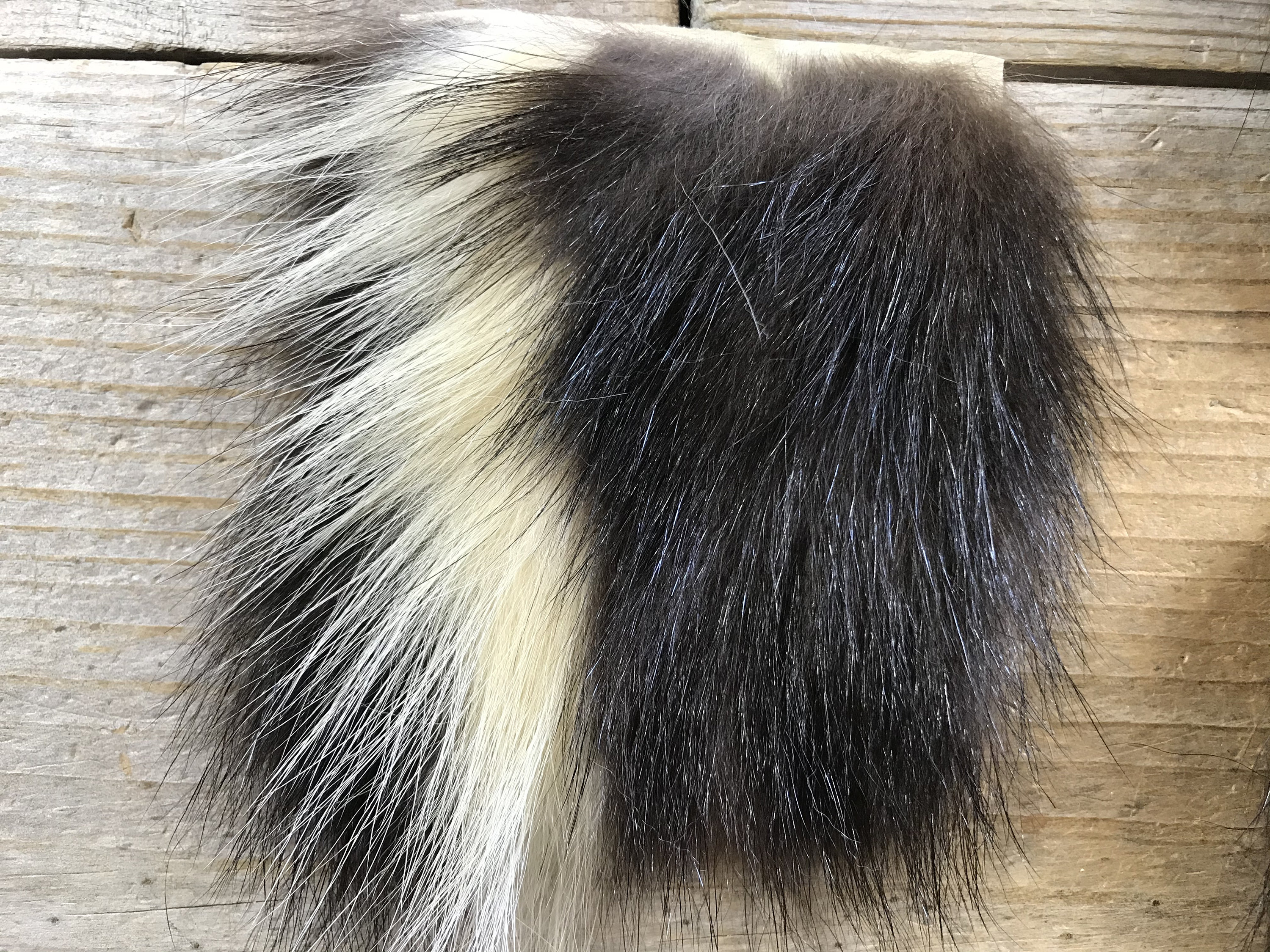 Striped Skunk Hair On Hide Piece Choice Of Size Stock No Etsy