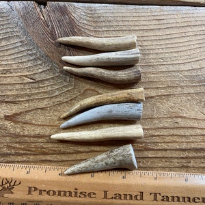 Deer Antler Points - Drilled Your Way - Lot No. 230126-JJ