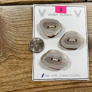 Deer Antler Buttons - 3 Jumbo Buttons - Choice of Card - Lot No. BC210906-X