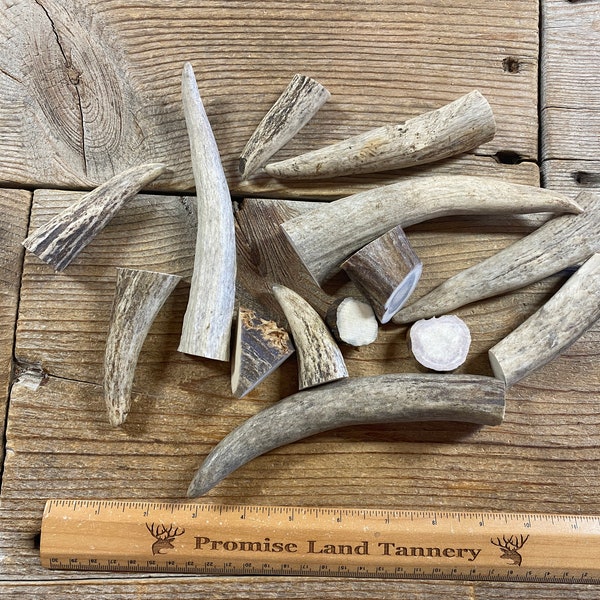 Antler Pen Blanks Etsy