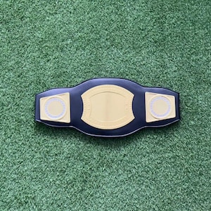 May include: A black championship belt with gold accents and two white circular plates. The belt is on a green surface.