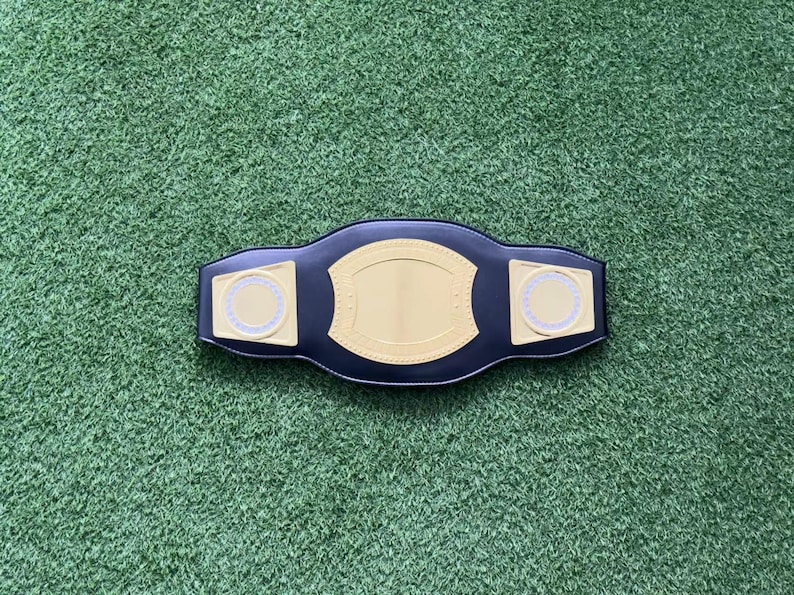 May include: A black championship belt with gold accents and two white circular plates. The belt is on a green surface.