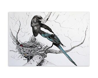 Lámina artística de urraca, ilustración de fauna silvestre anidando, cartulina mate de 10 x 15 cm.