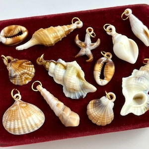 May include: A collection of 12 seashell charms with gold-tone jump rings. The charms are in various shapes and sizes, including a starfish, a cowrie shell, and a conch shell. The shells are a mix of brown, white, and beige.
