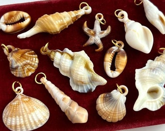 May include: A collection of 12 seashell charms with gold-tone jump rings. The charms are in various shapes and sizes, including a starfish, a cowrie shell, and a conch shell. The shells are a mix of brown, white, and beige.