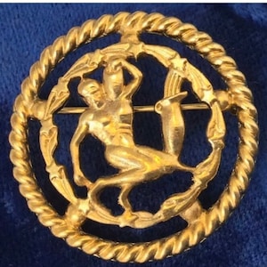 Aquarius Pin Aquarius Jewelry Vintage Jewelry Gift For Her Zodiac Jewelry Vintage Brooch Aquarius Water Bearer Aquarius Gifts Zodiac Gifts