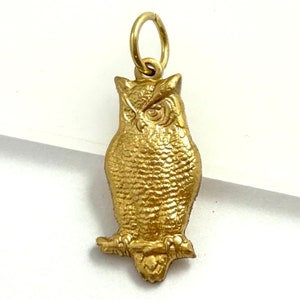 May include: A gold owl charm with a detailed design. The owl has a round head with large eyes and a beak. The charm has a loop at the top for attaching to a necklace or bracelet.