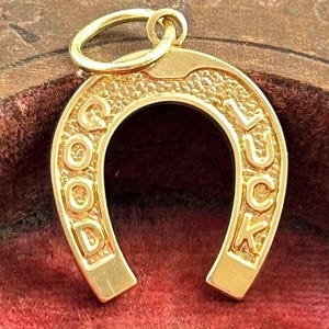 May include: A gold-colored horseshoe charm with the words "GOOD LUCK" embossed on it. The charm has a textured surface and a small loop at the top for attaching to a necklace or bracelet. The horseshoe is a classic symbol of good fortune.